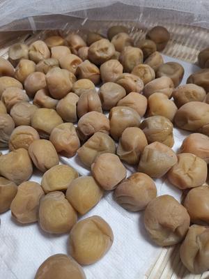 自制青梅版蜜饯