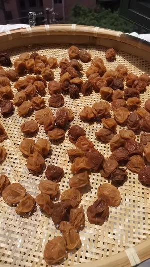 自制青梅版蜜饯