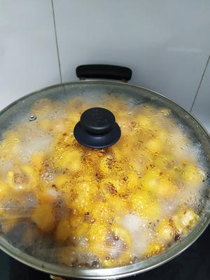 有嚼劲的枇杷膏（不去皮）