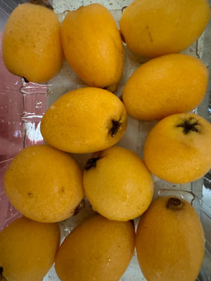 枇杷雪梨汤