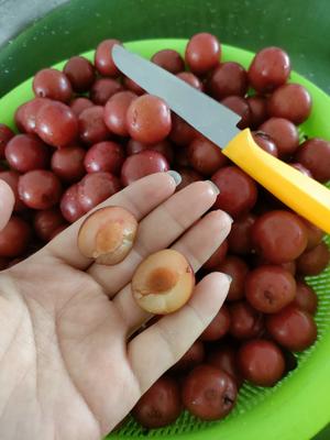 李子干最简单的方法