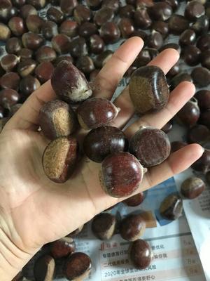 存储栗子的方法