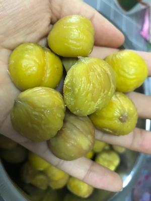 存储栗子的方法