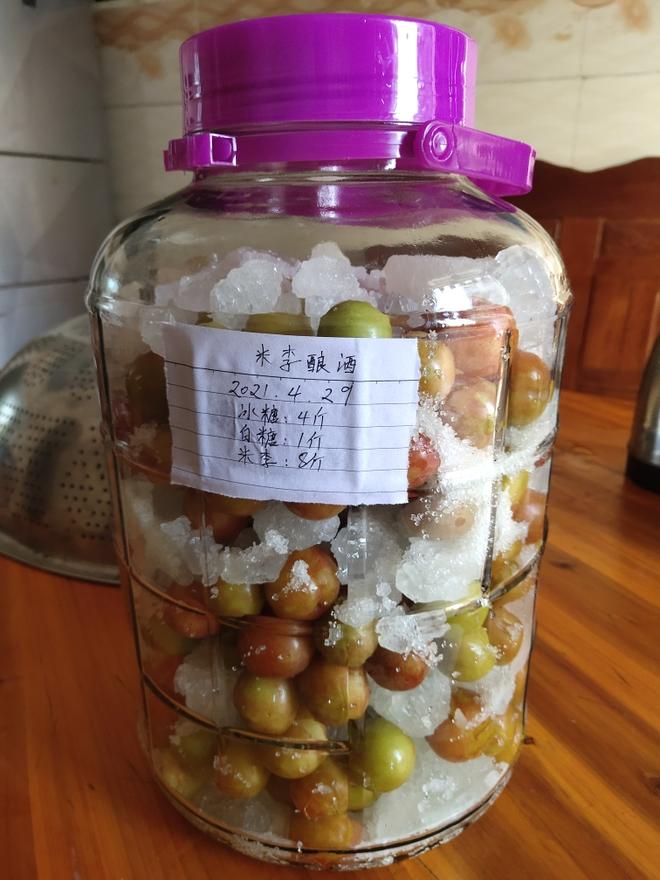 李子酿酒（无酒）