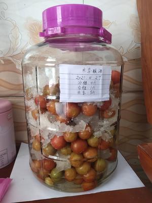 李子酿酒（无酒）