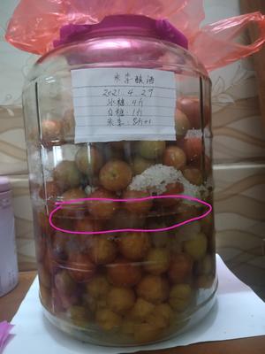 李子酿酒（无酒）