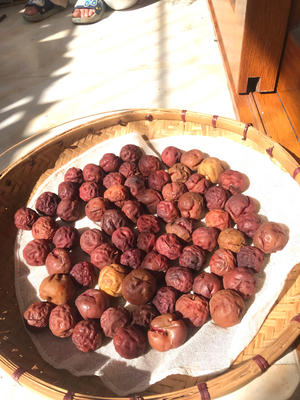 吃不完的李子这样做！