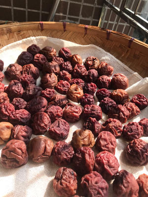 吃不完的李子这样做！