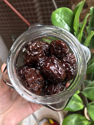吃不完的李子这样做！