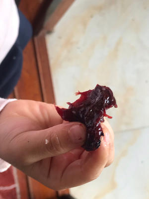 吃不完的李子这样做！