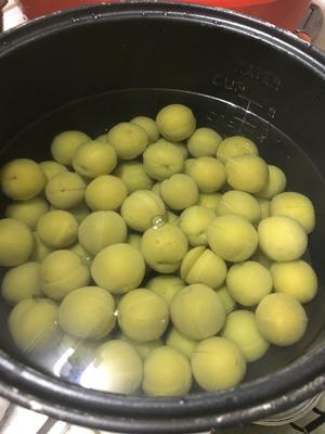 美味～泡李子