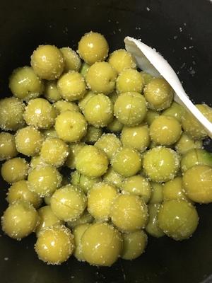美味～泡李子