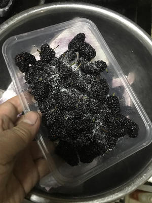 冷冻桑葚