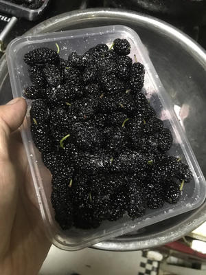冷冻桑葚