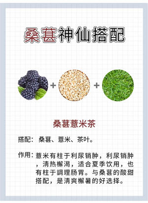 六款桑葚养生茶