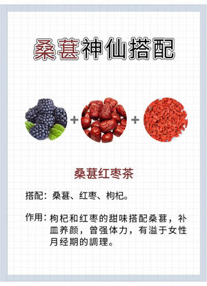 六款桑葚养生茶