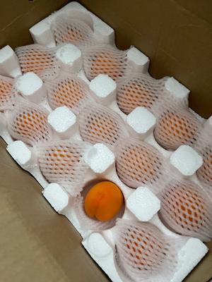 杏子樱桃保存收纳法