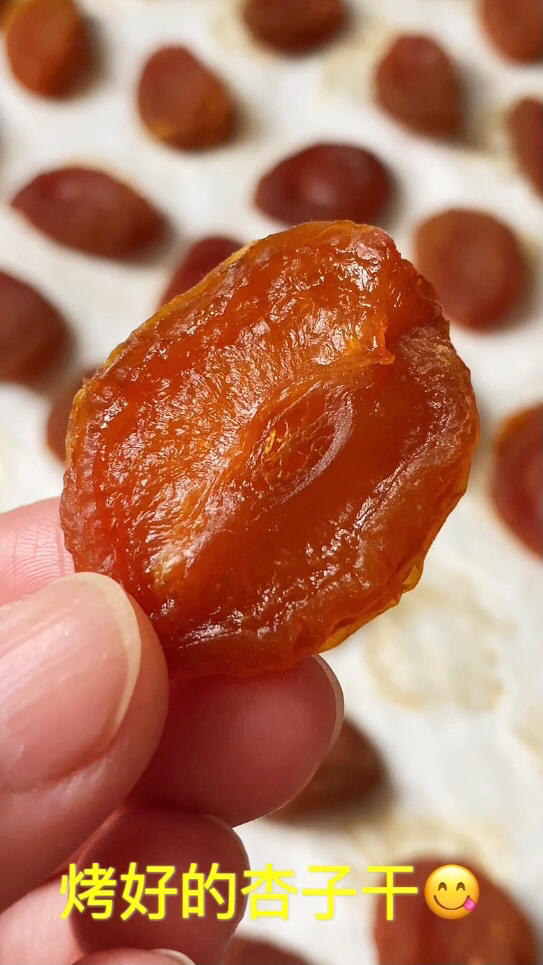 烤箱版杏子干