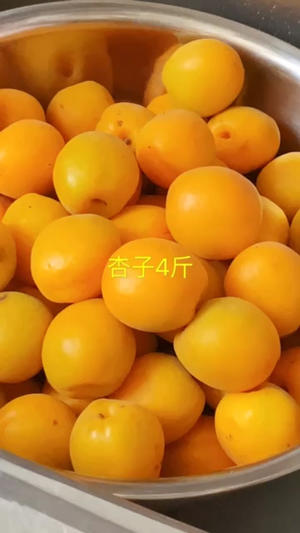 烤箱版杏子干