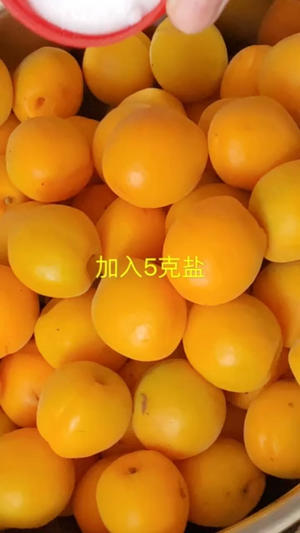 烤箱版杏子干