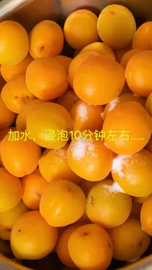 烤箱版杏子干