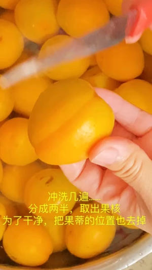 烤箱版杏子干