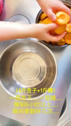 烤箱版杏子干