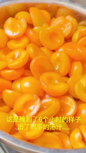 烤箱版杏子干