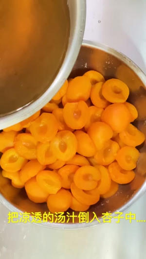 烤箱版杏子干