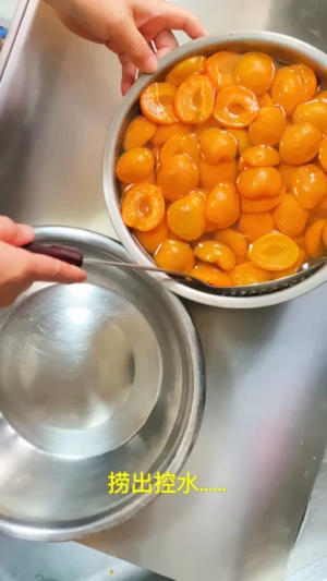 烤箱版杏子干