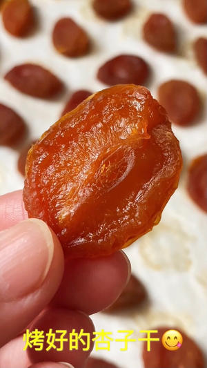 烤箱版杏子干