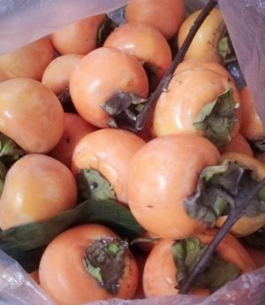 柿饼子