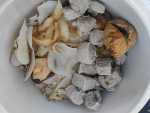 清热润肺汤———无花果陈皮雪梨瘦肉汤