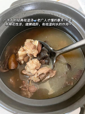 广东人的春季祛湿汤🥣祛湿气排水肿喝这个