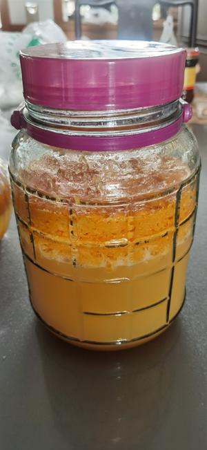 橘子酒酿～简单易做，小白也能轻松入手
