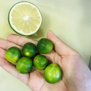 百香果水果茶（维C满满）