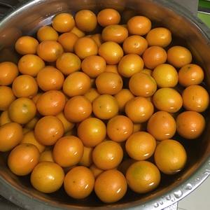 止咳化痰-金桔酱🍊