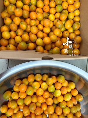好吃❗️好看❗️又健康❗️的金桔酱🍊