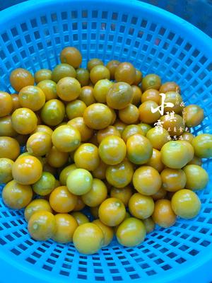 好吃❗️好看❗️又健康❗️的金桔酱🍊