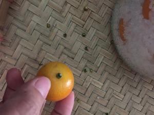 老中医推荐的止咳化痰咸金桔
