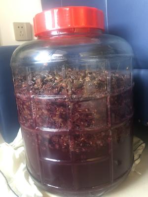自酿葡萄酒之能酿好酒的制作过程，值得收藏
