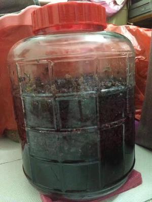 自酿葡萄酒之能酿好酒的制作过程，值得收藏