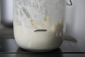 7天养成，葡萄鲁邦种制作全攻略