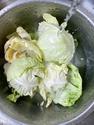 &#x723D;&#x8106;&#x53EF;&#x53E3;&#x7684;&#x5377;&#x5FC3;&#x83DC;&#xFF08;&#x51C9;&#x62CC;&#x5305;&#x83DC;&#xFF09;