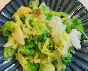 &#x8F7B;&#x98DF;&#x51C9;&#x62CC;&#x5706;&#x767D;&#x83DC;
