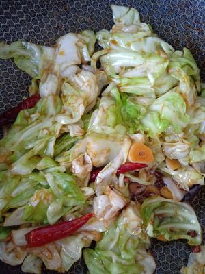 &#x9178;&#x723D;&#x5F00;&#x80C3;&#x7684;&#x624B;&#x6495;&#x5305;&#x83DC;