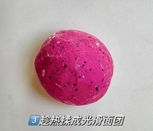红火龙果阿达子