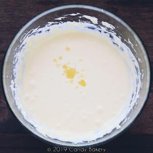 蓝莓乳酪派（合适新手家庭版）