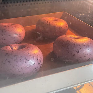 春日蓝莓贝果