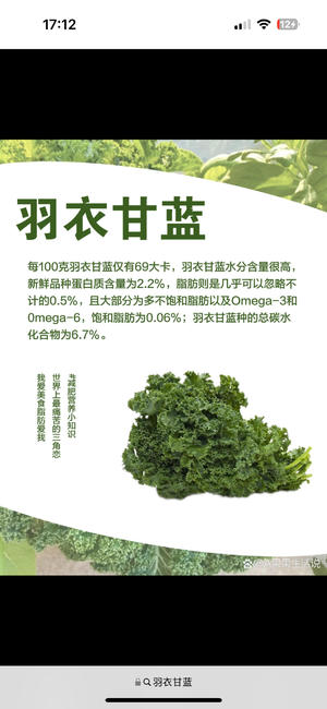 牛油果羽衣甘蓝超模绿